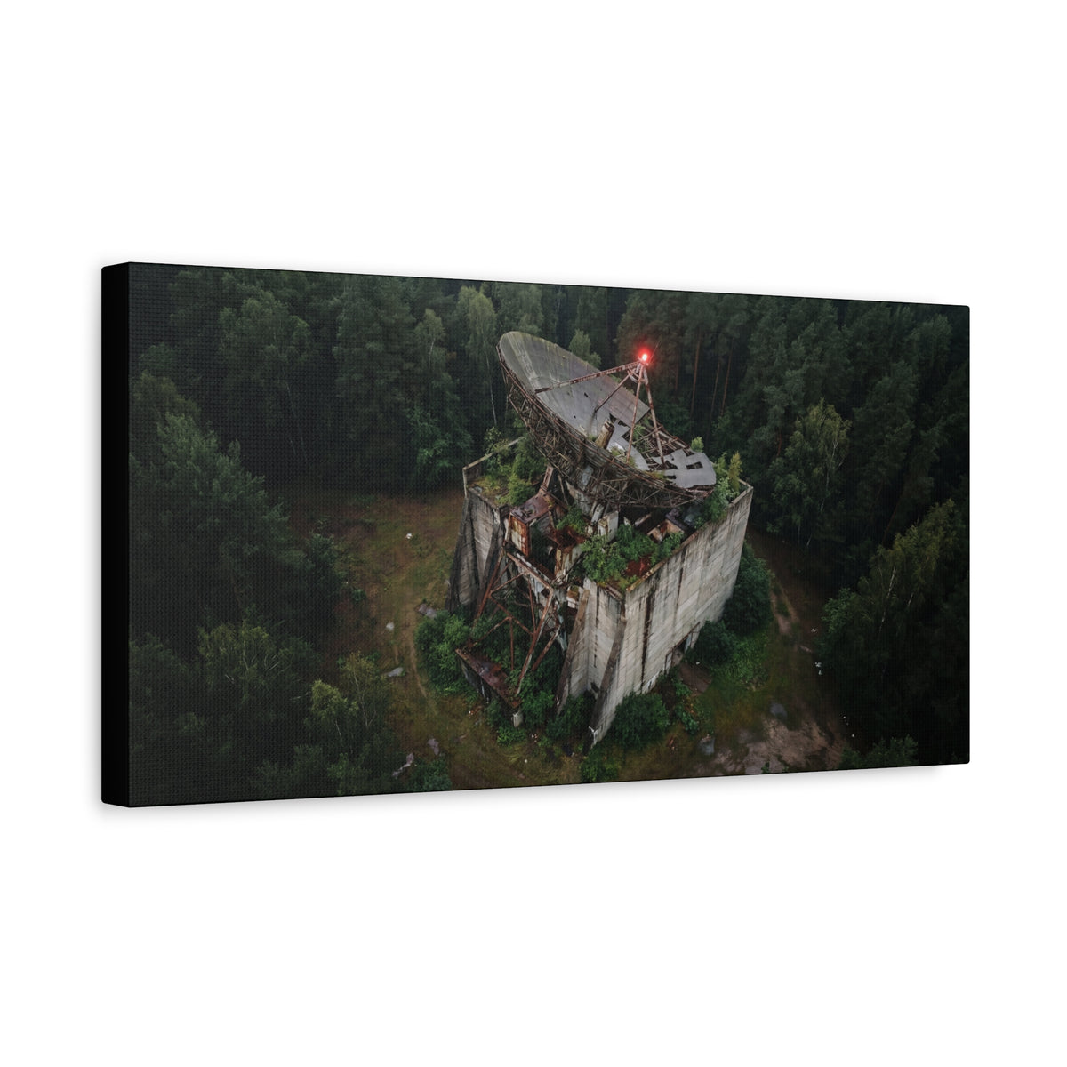 Canopy Array // Canvas Print