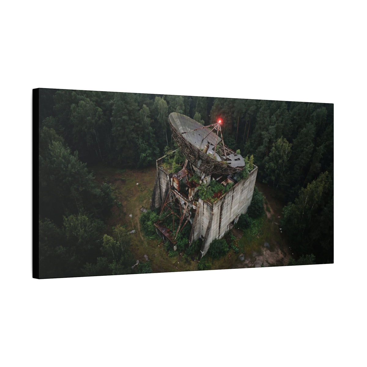 Canopy Array // Canvas Print