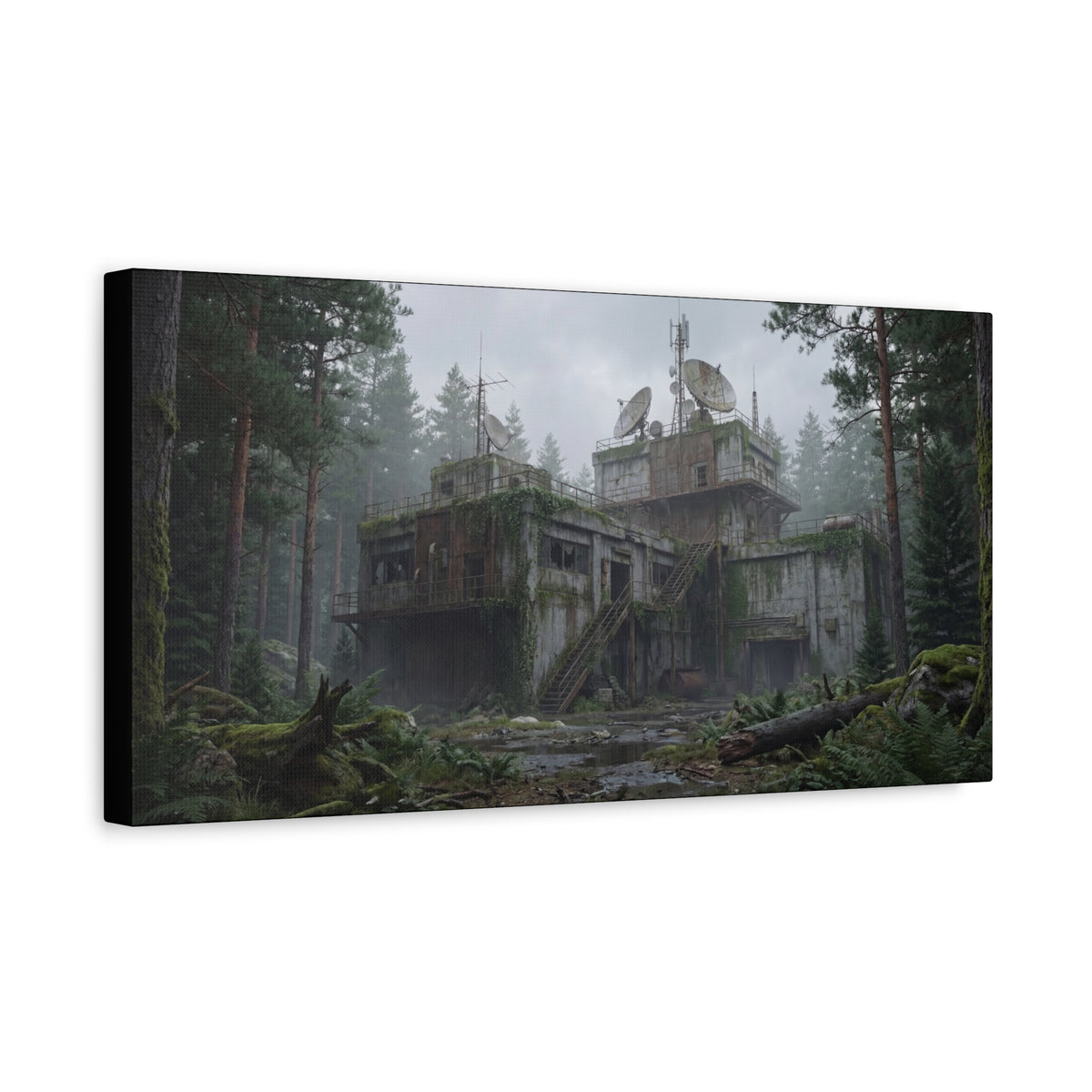 Mossline Relay // Canvas Print