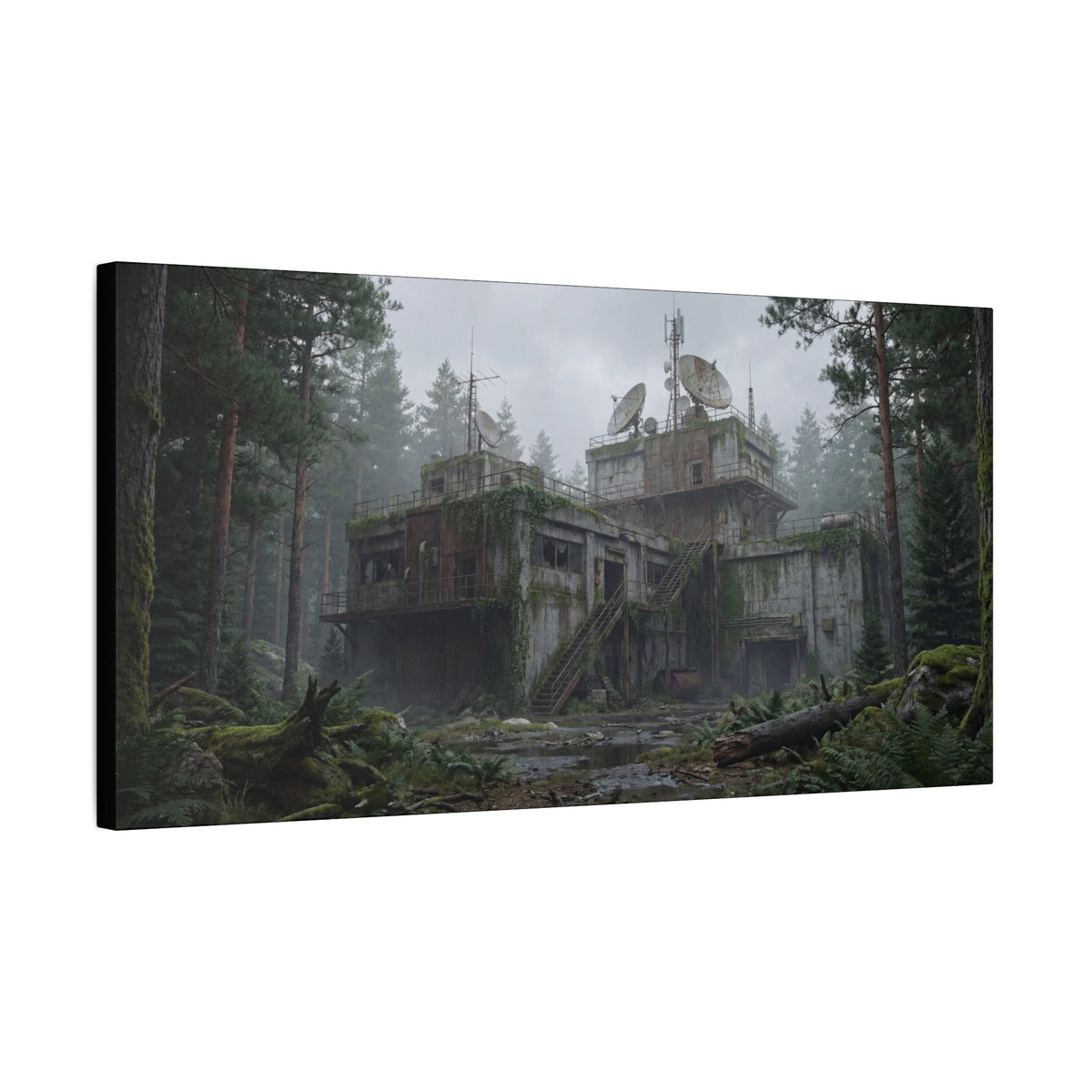 Mossline Relay // Canvas Print