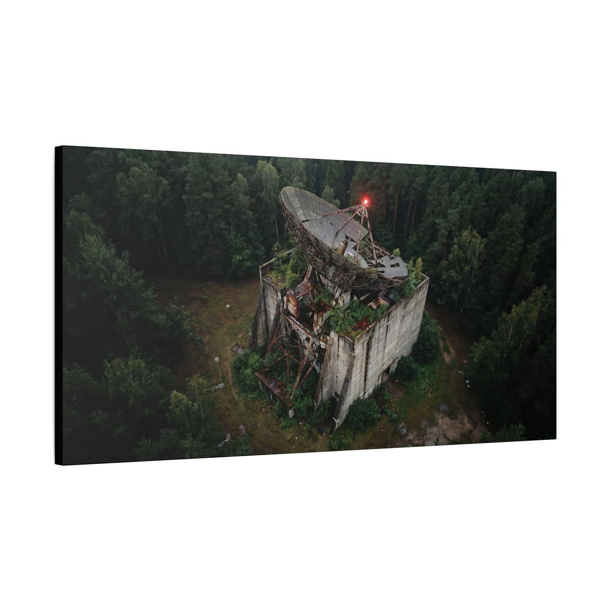 Canopy Array // Canvas Print