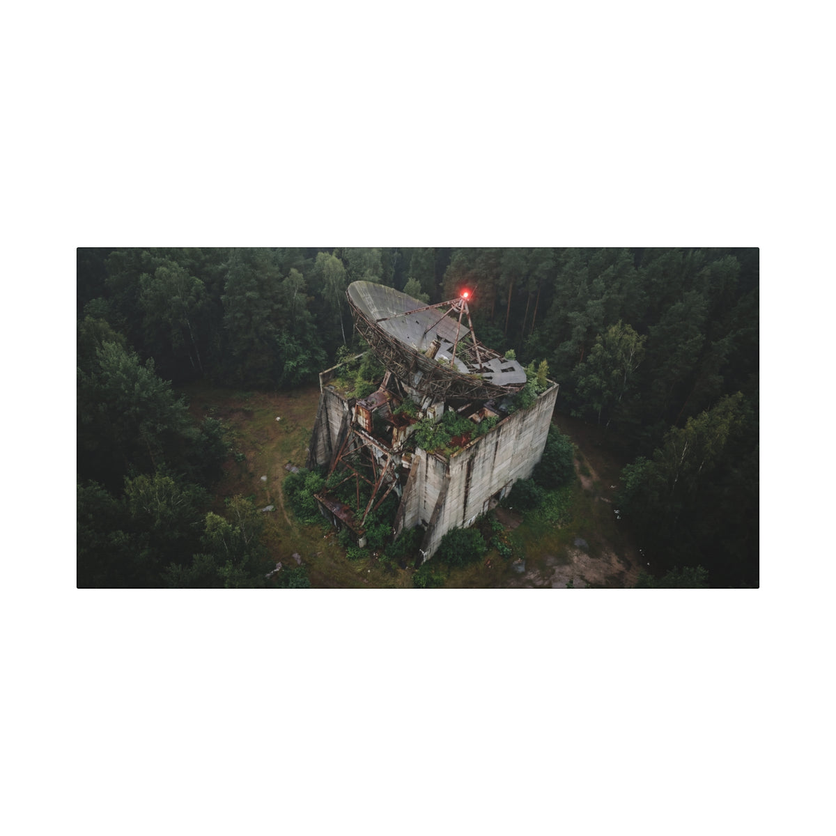Canopy Array // Canvas Print