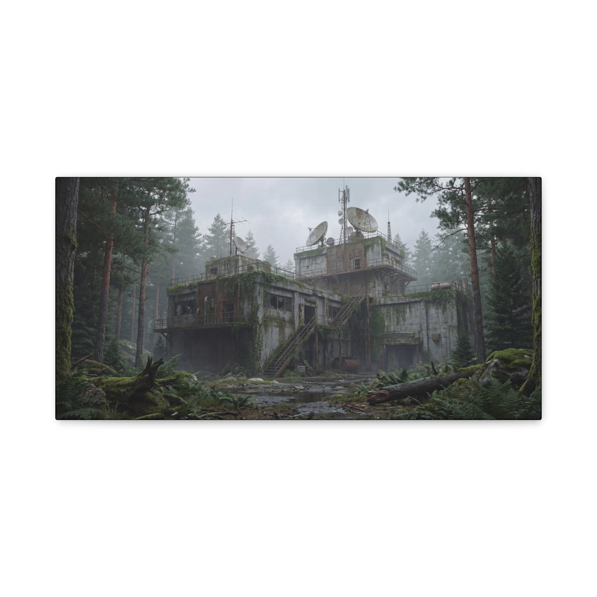 Mossline Relay // Canvas Print
