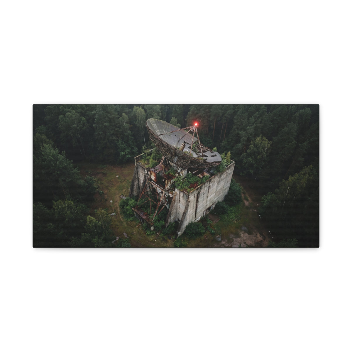 Canopy Array // Canvas Print
