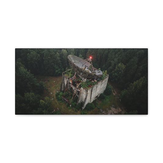 Canopy Array // Canvas Print