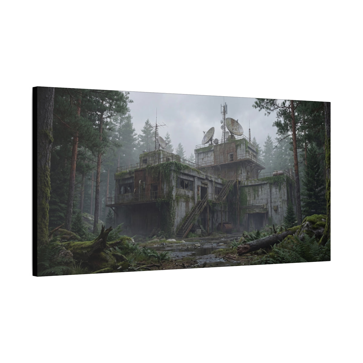 Mossline Relay // Canvas Print